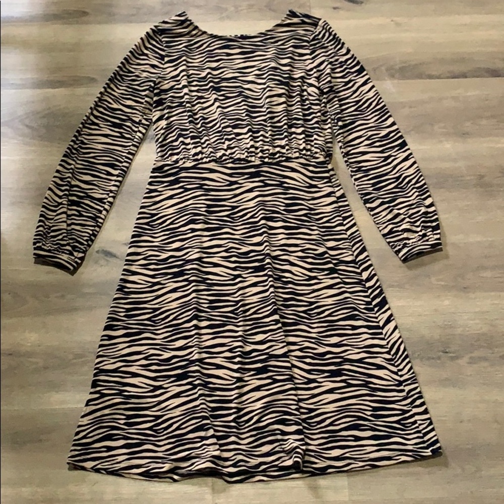 Loft Zebra Print Dress